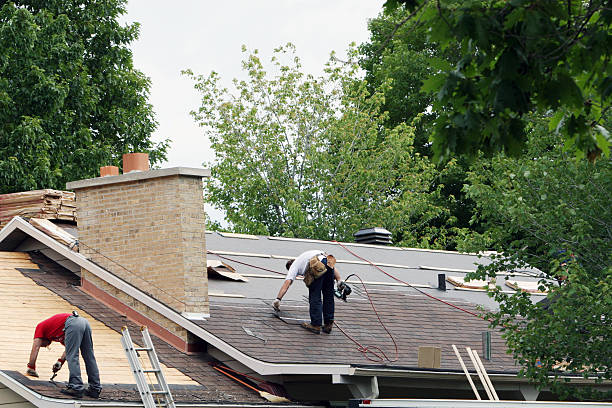 Best Roof Leak Repair  in Dry Run, OH