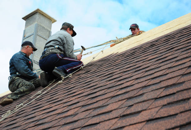 Roof Gutter Cleaning in Dry Run, OH